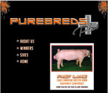 Purebreds Plus